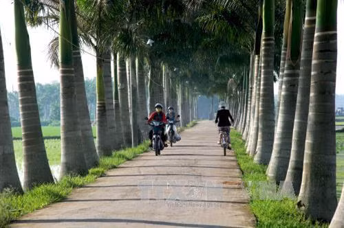 Long An huy động hơn 11.000 tỷ đồng xây dựng nông thôn mới