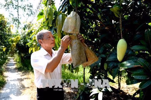 Đồng bằng sông Cửu Long và con đường phát triển nông nghiệp bền vững (Bài 2)