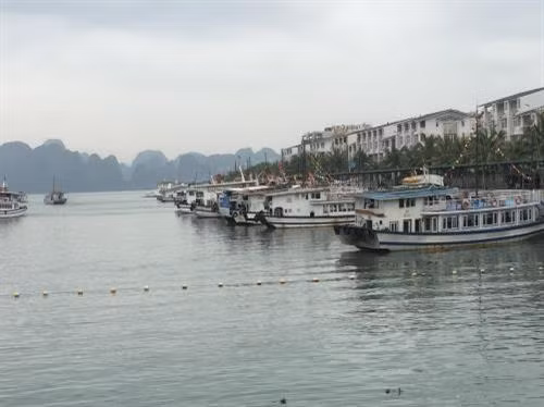 Hiệu quả mô hình “tàu du lịch chở khách ghép” trên vịnh Hạ Long