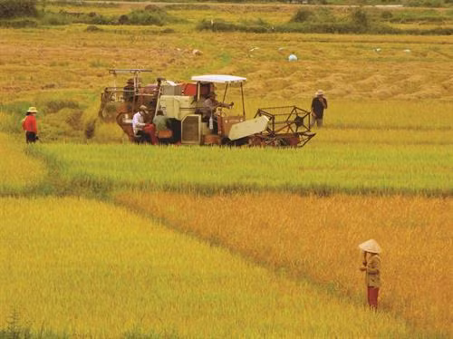 Bãi bỏ 11 văn bản quy phạm pháp luật trong lĩnh vực nông nghiệp và phát triển nông thôn