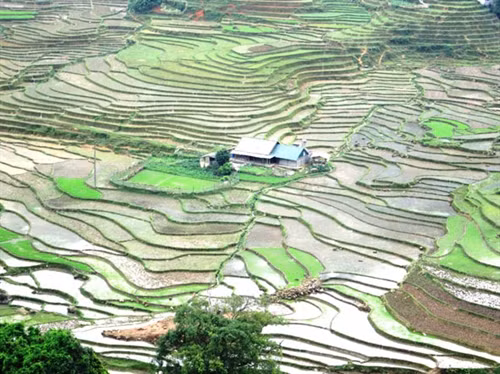 Ruộng bậc thang Tây Bắc mùa nước đổ