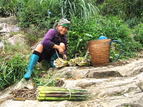 Tây Bắc mùa măng rừng