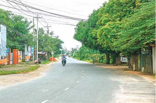 Bình Thuận ưu tiên đầu tư phát triển các mô hình sản xuất, nâng cao thu nhập vùng nông thôn 