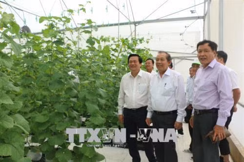 Phó Thủ tướng Trương Hòa Bình tham quan mô hình trồng dưa công nghệ cao tại Long An