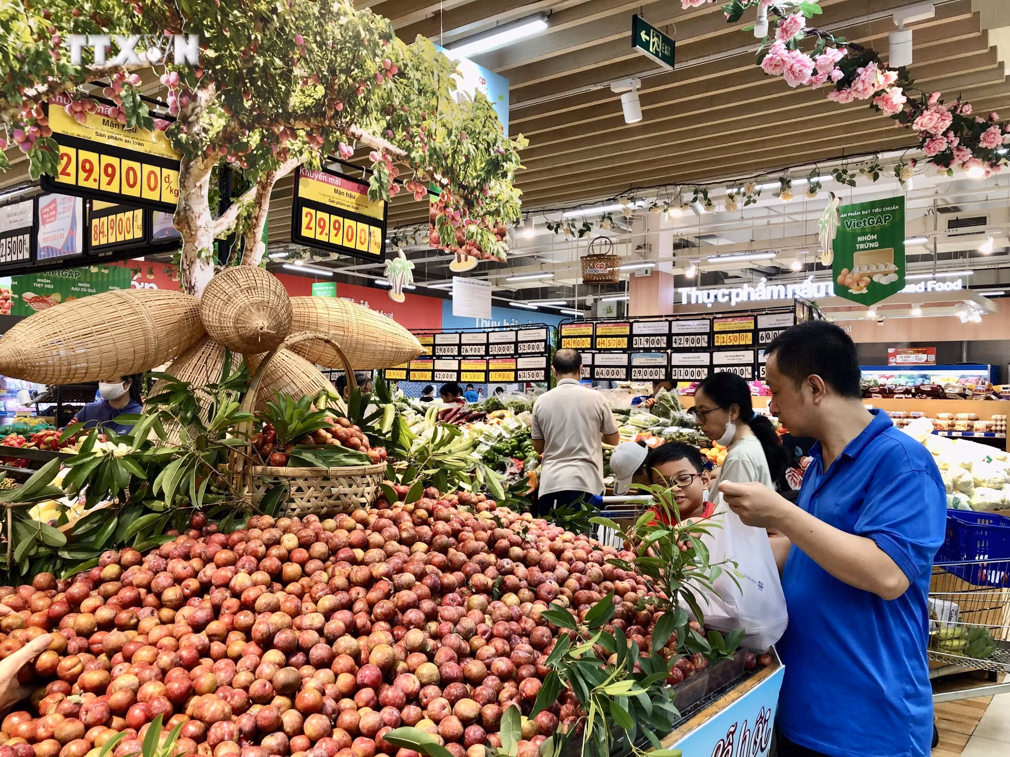 vna_potal_hoi_cho_man_hau_va_nong_san_tinh_son_la_tai_thanh_pho_ho_chi_minh__7395109.jpg