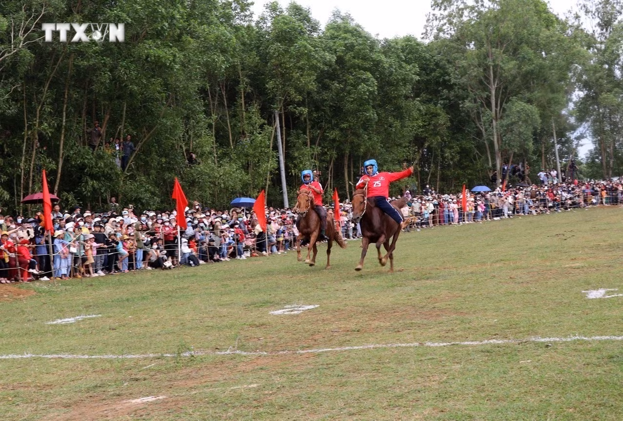 Ngựa đua số 25 đã về đích trong trận chung kết và dành giải Nhất hội đua năm Giáp Thìn. Ảnh: Xuân Triệu - TTXVN