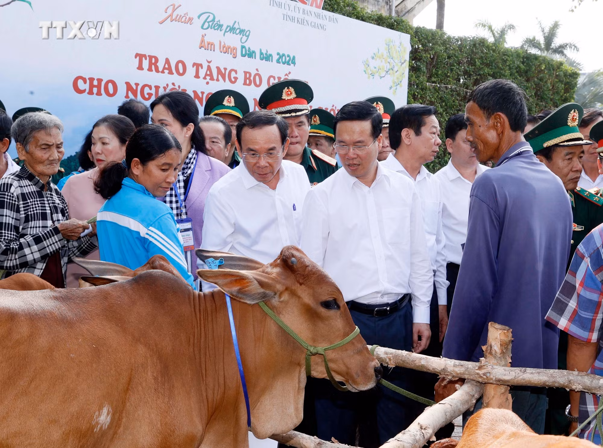 Chủ tịch nước Võ Văn Thưởng tặng bò cho hộ nghèo của chương trình "Xuân biên phòng ấm lòng dân bản". Ảnh: Thống Nhất - TTXVN 