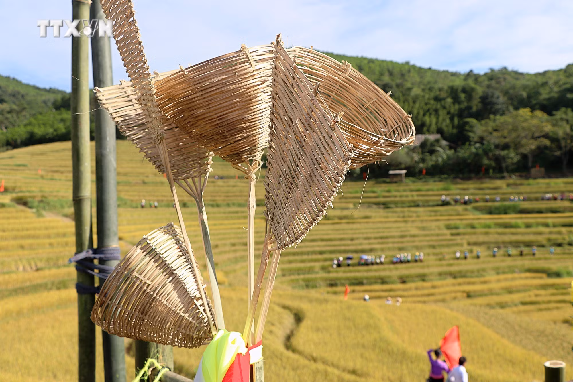vna_potal_tung_bung_le_hoi_van_hoa_du_lich_ruong_bac_thang_mien_doi_hoa_binh__7672279.jpg