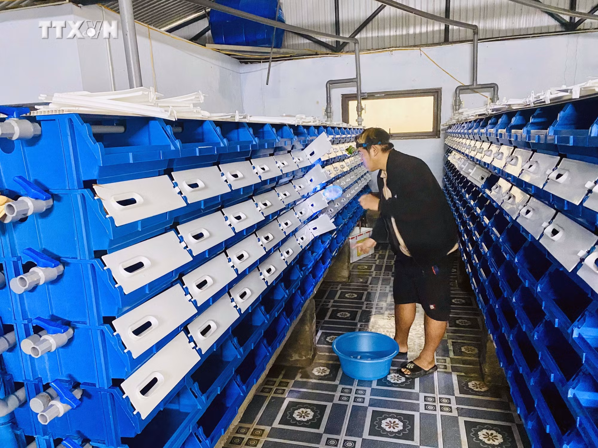 vna_potal_ha_tinh_ung_dung_cong_nghe_mang_lai_hieu_qua_kinh_te_vuot_troi_cho_nhieu_hop_tac_xa_7283373.jpg