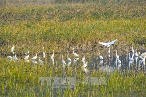 Du lịch sinh thái bền vững (Bài cuối): Hoàn thiện cơ chế chính sách cho các mô hình