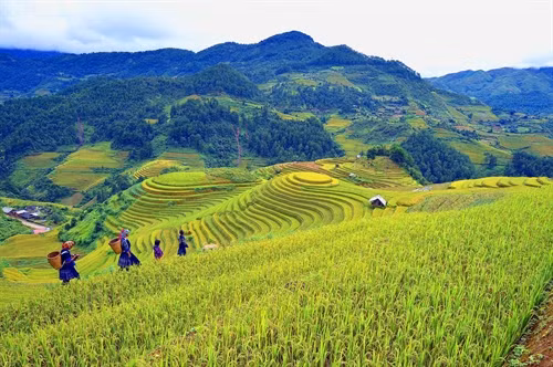 Cuối tuần Bắc bộ có mưa nhỏ vài nơi, ngày hửng nắng.