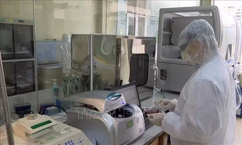 Sớm thực hiện liệu pháp sử dụng huyết tương trong điều trị COVID-19