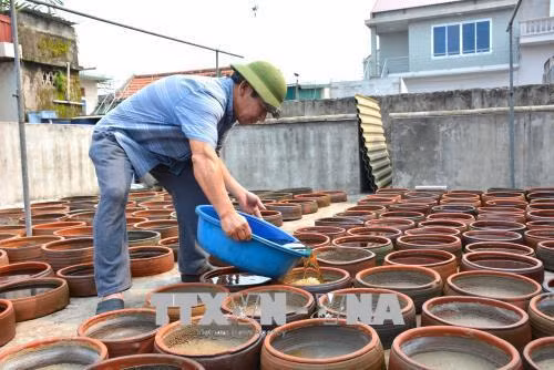 45.000 tỷ đồng thực hiện Chương trình Mỗi xã một sản phẩm
