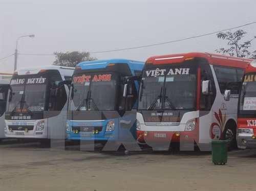 Hà Nội tạm đình chỉ Phó phòng Quản lý vận tải