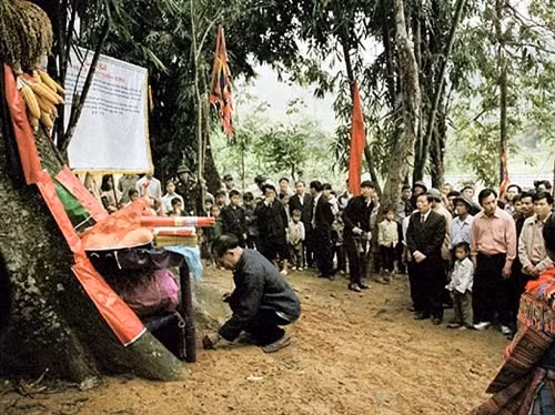 Văn hóa vùng Tây Nguyên