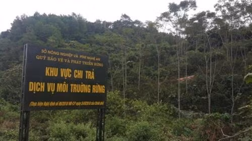 Thu dịch vụ môi trường rừng tăng gần 70%