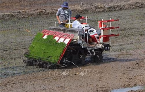 Hậu Giang thí điểm mô hình canh tác lúa thông minh