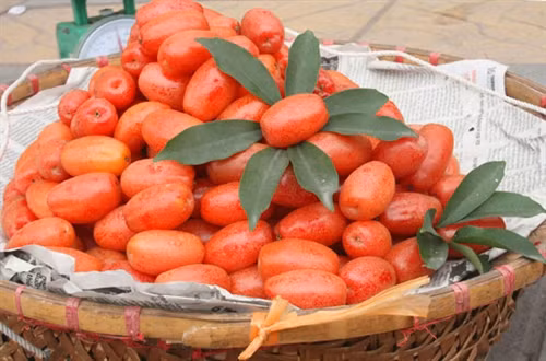 Những vị thuốc quý từ quả nhót