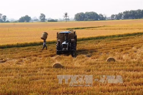 Khuyến khích tích tụ, tập trung đất nông nghiệp (Bài 1)