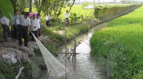 Ông Âu Văn On chuyển đổi sản xuất để sống chung với lũ