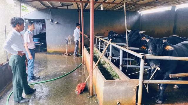 Nhờ nguồn vay vốn tín dụng, bà con nông dân đã có điều kiện hơn để vượt qua khó khăn, phát triển kinh tế.