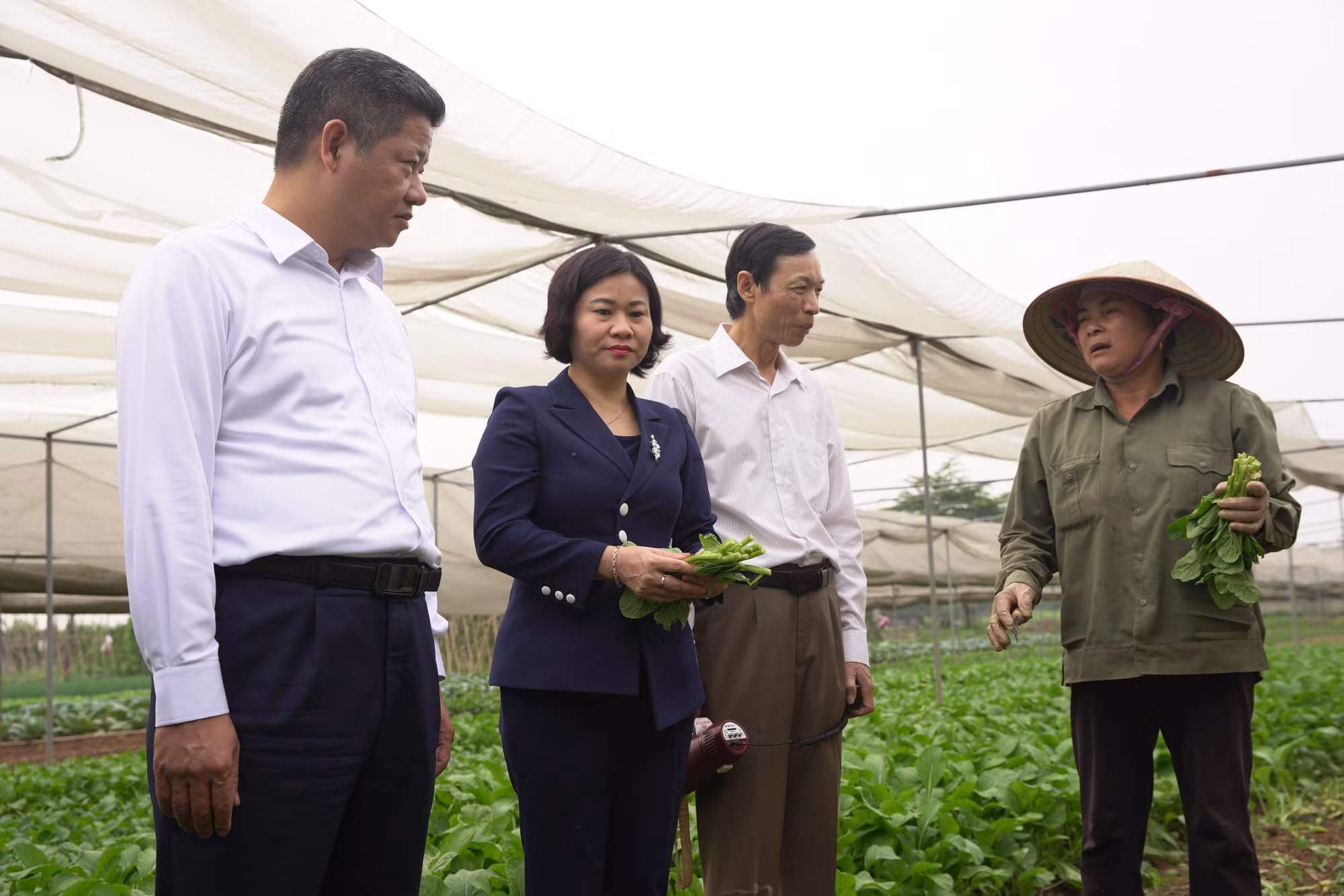 Hà Nội phấn đấu đến hết năm 2021 thu nhập người dân nông thôn đạt 60 triệu đồng/người/năm