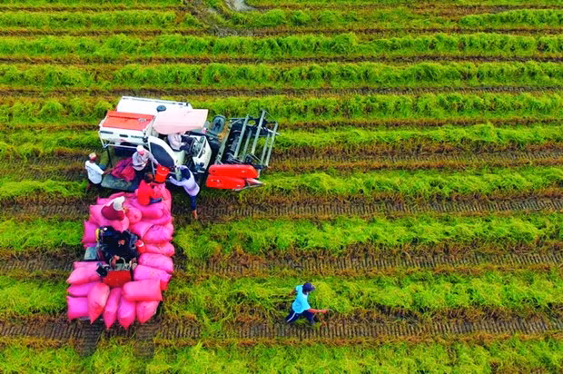 Trà Vinh nâng cao đời sống đồng bào Khmer, góp phần xây dựng nông thôn mới
