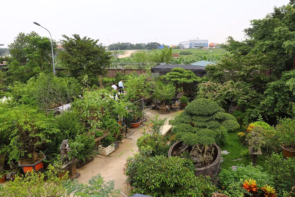 Trên cơ sở quy hoạch chung của thành phố, Hà Nội thúc đẩy các mô hình nông nghiệp đô thị theo hướng sinh thái, bền vững, nâng cao đời sống cho người nông dân.