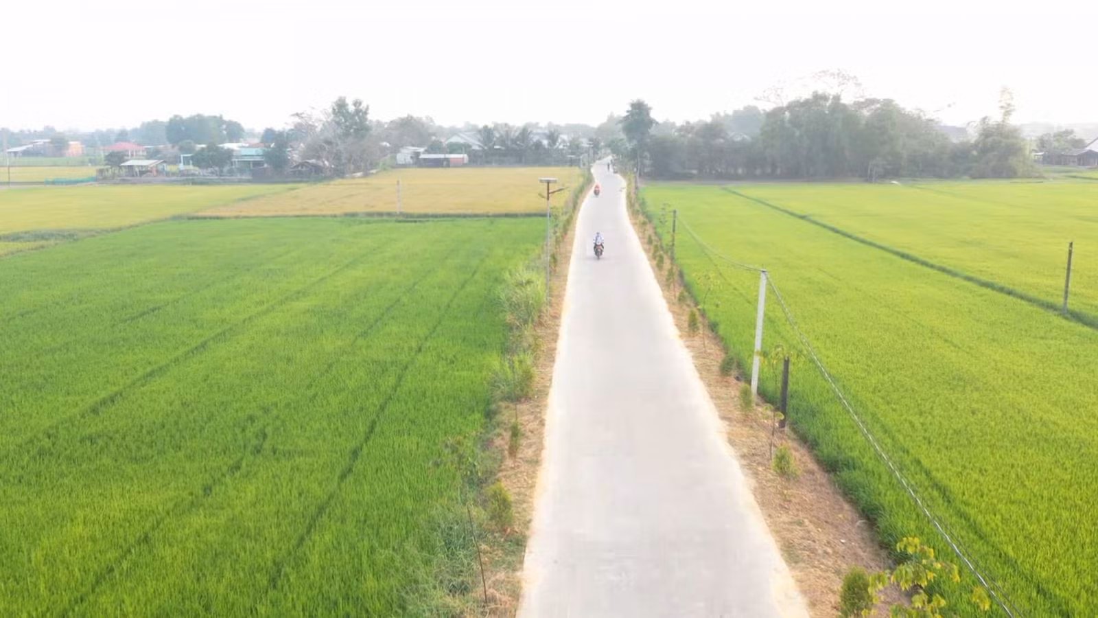 Xã Mỹ Hạnh Nam, huyện Đức Hòa (Long An) được công nhận xã nông thôn mới nâng cao năm 2020. Ảnh: baolongan.vn