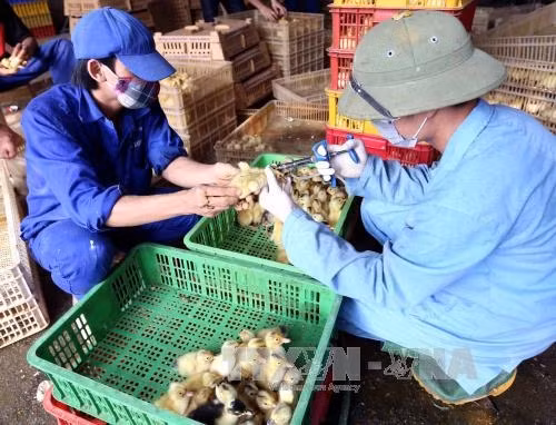 Hoàn thiện chính sách thu hút đầu tư vào nông nghiệp