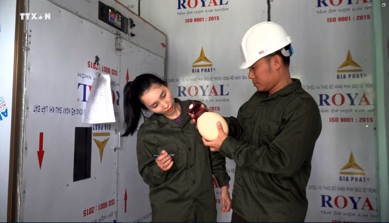 vna_potal_quang_binh_phat_trien_chan_nuoi_da_dieu_tren_vung_dat_cat_bac_mau_7483515.jpg