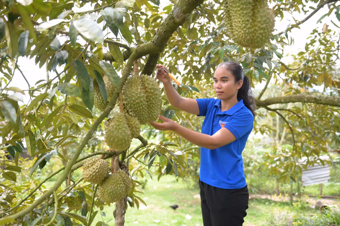 Đẩy mạnh công tác phát triển đảng viên ở vùng "khó" tỉnh Khánh Hòa