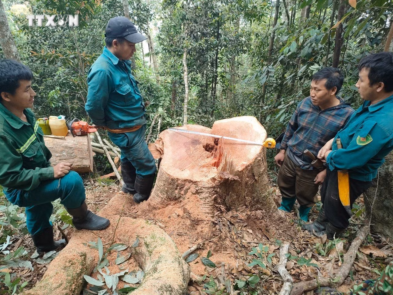 vna_potal_bo_doi_bien_phong_thanh_hoa_bat_qua_tang_5_doi_tuong_khai_thac_go_trai_phep__7322519.jpg