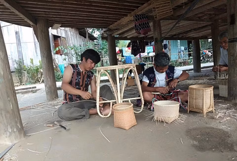 Hiệu quả dự án phát triển chuỗi giá trị mây, tre, lá và dược liệu ở Quảng Nam
