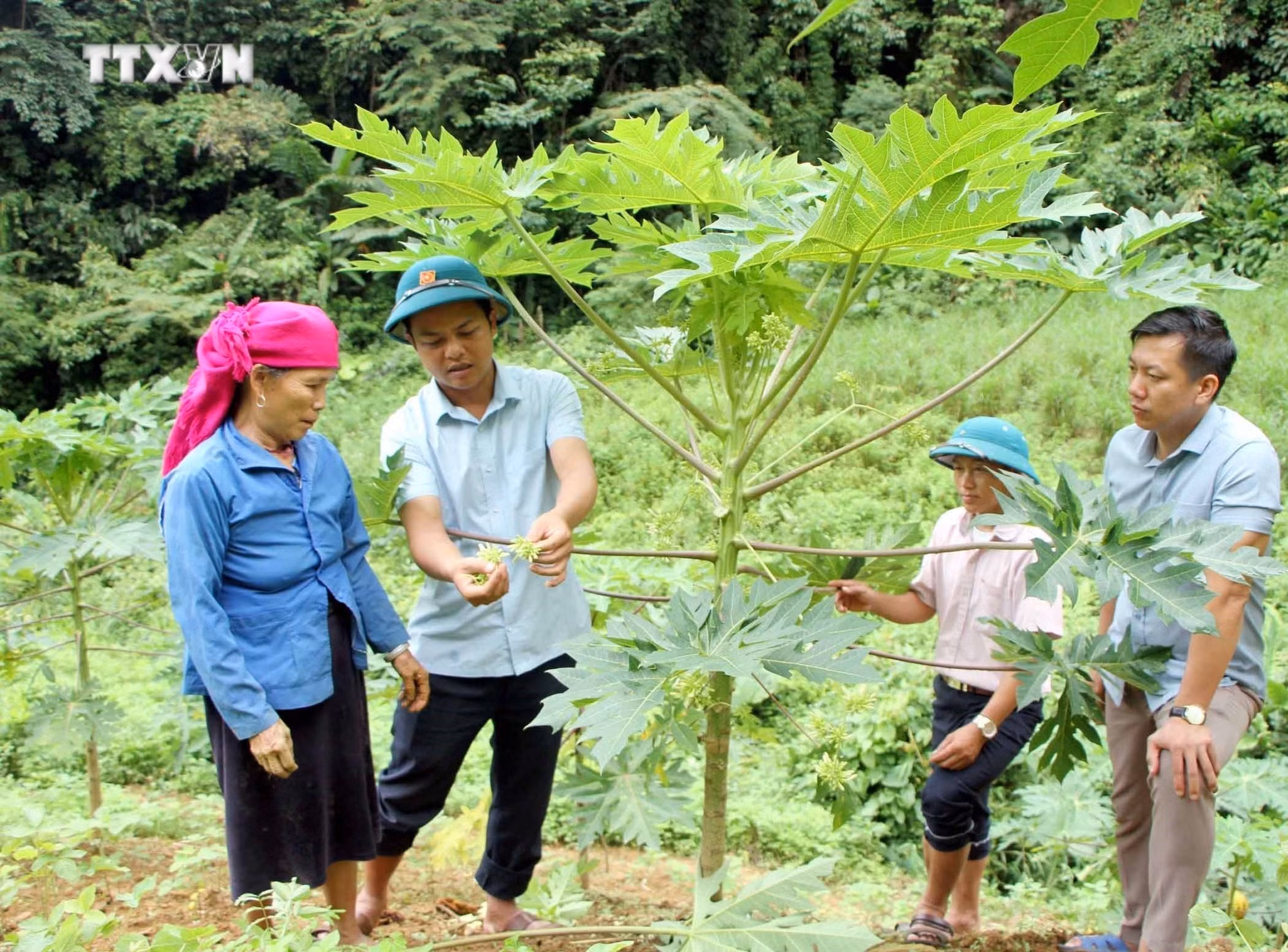 vna_potal_lai_chau_thuc_hien_hieu_qua_chinh_sach_giam_ngheo_7657817.jpg