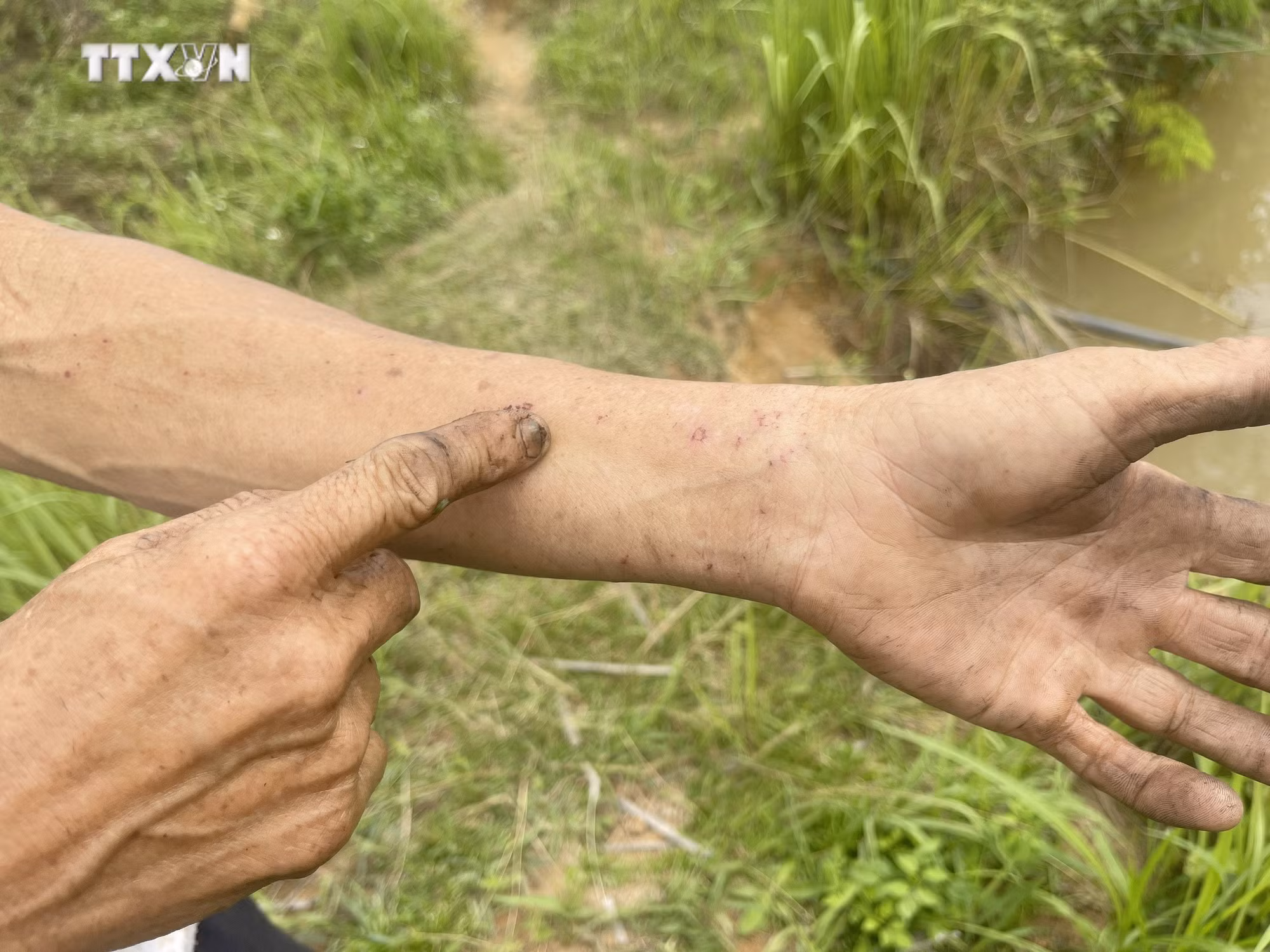 vna_potal_dan_khon_kho_tu_khi_nha_may_che_bien_mu_cao_su_hoat_dong_7397411.jpg