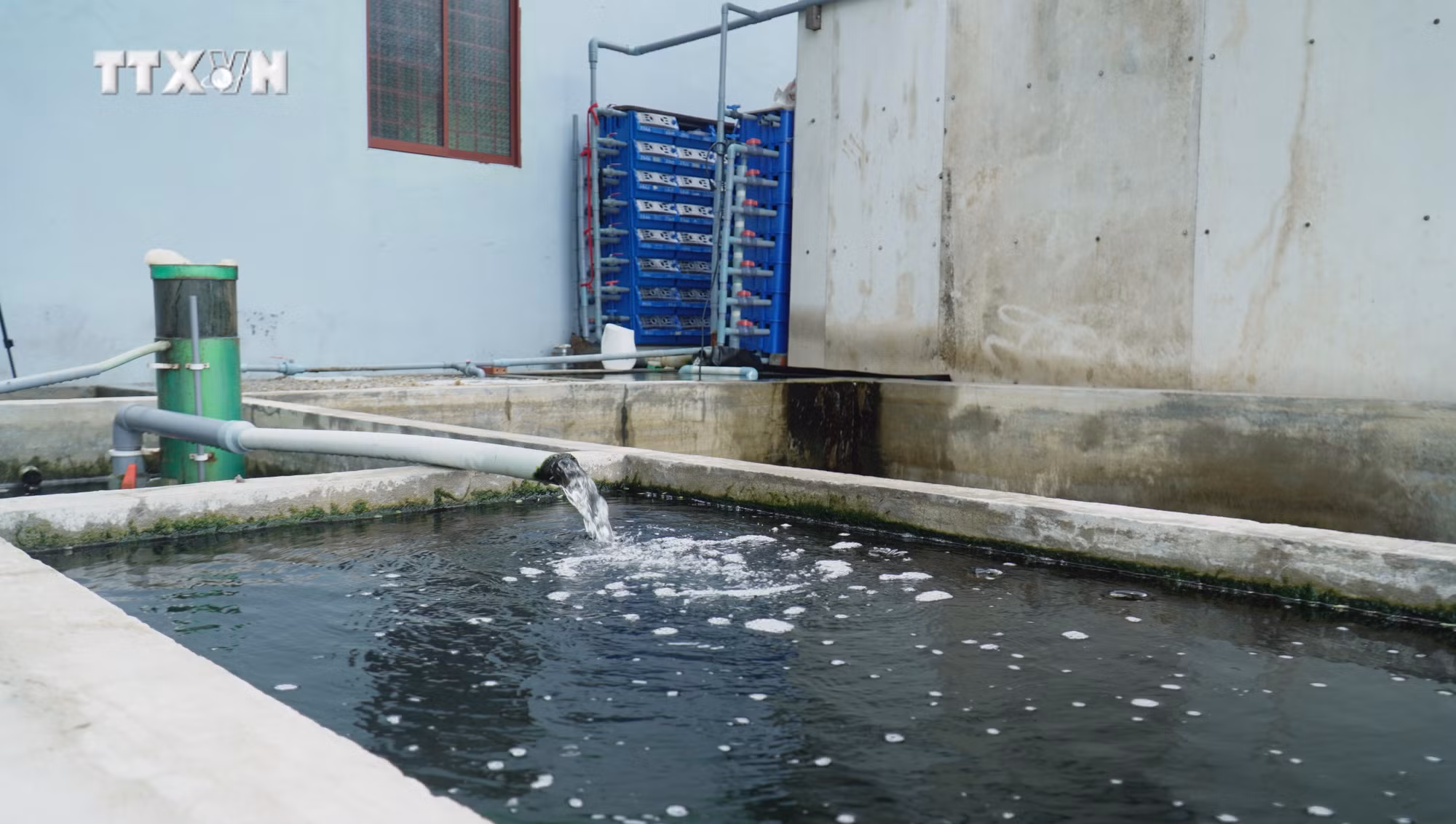 vna_potal_nuoi_cua_trong_hop_nhua_huong_di_nhieu_sang_tao_cua_nong_dan_ca_mau__7387434.jpg