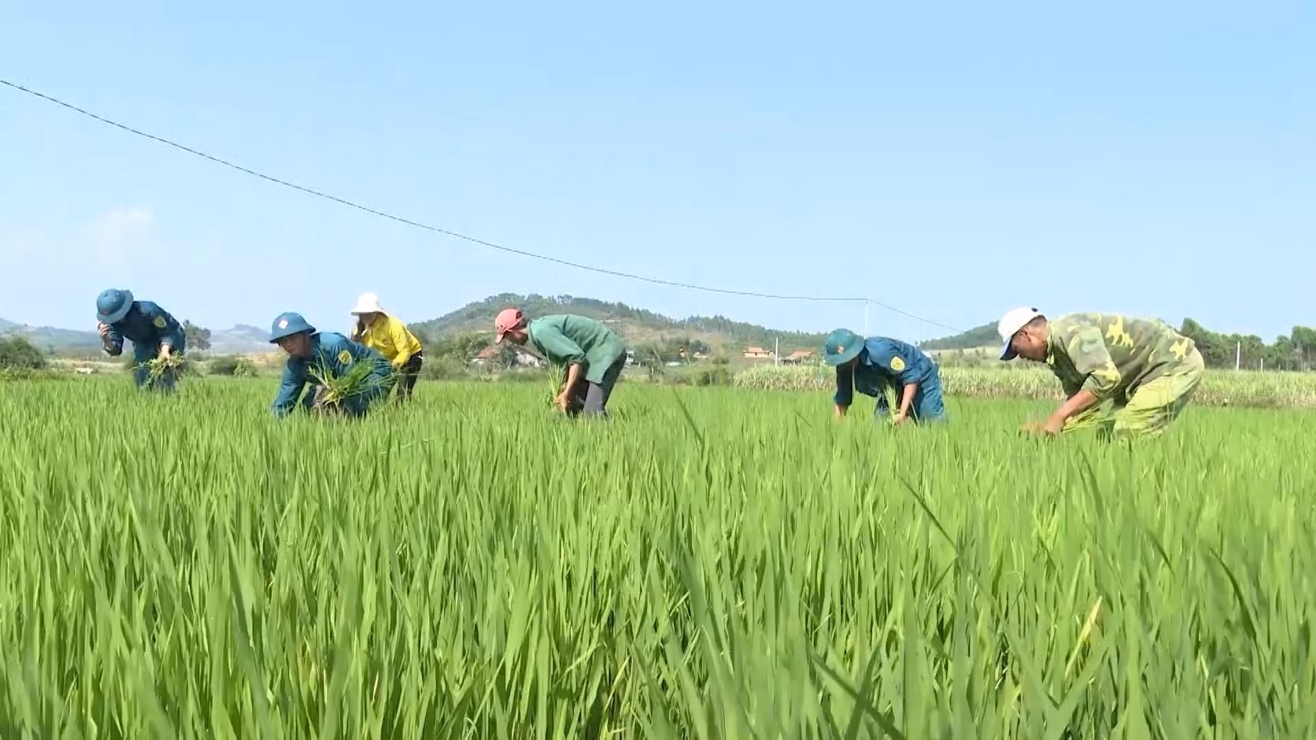 Phát huy vai trò lực lượng dân quân tự vệ trong xây dựng nông thôn mới ở huyện K’Bang