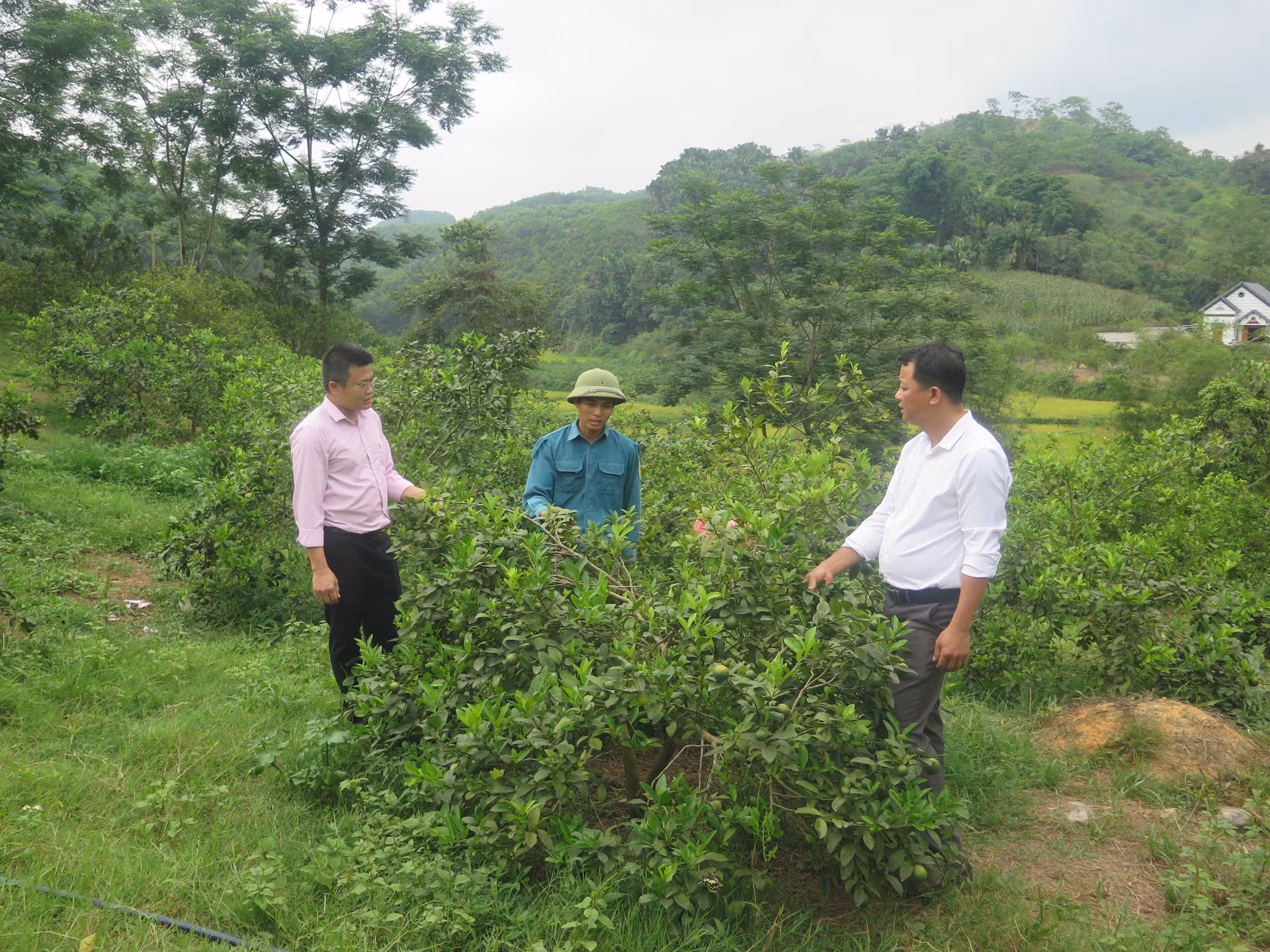 Tuyên Quang hỗ trợ đồng bào dân tộc thiểu số nâng cao đời sống