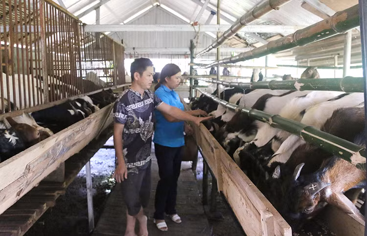 Vốn rẻ tiếp sức nông nghiệp, nông thôn