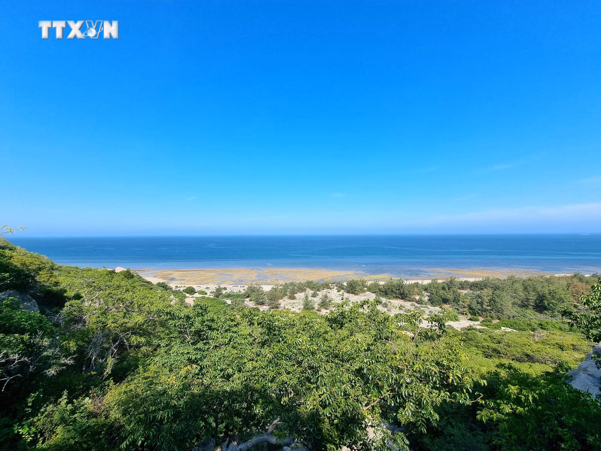 vna_potal_chung_tay_bao_ton_loai_rua_bien_quy_hiem_o_vuon_quoc_gia_nui_chua_ninh_thuan_7523385.jpg