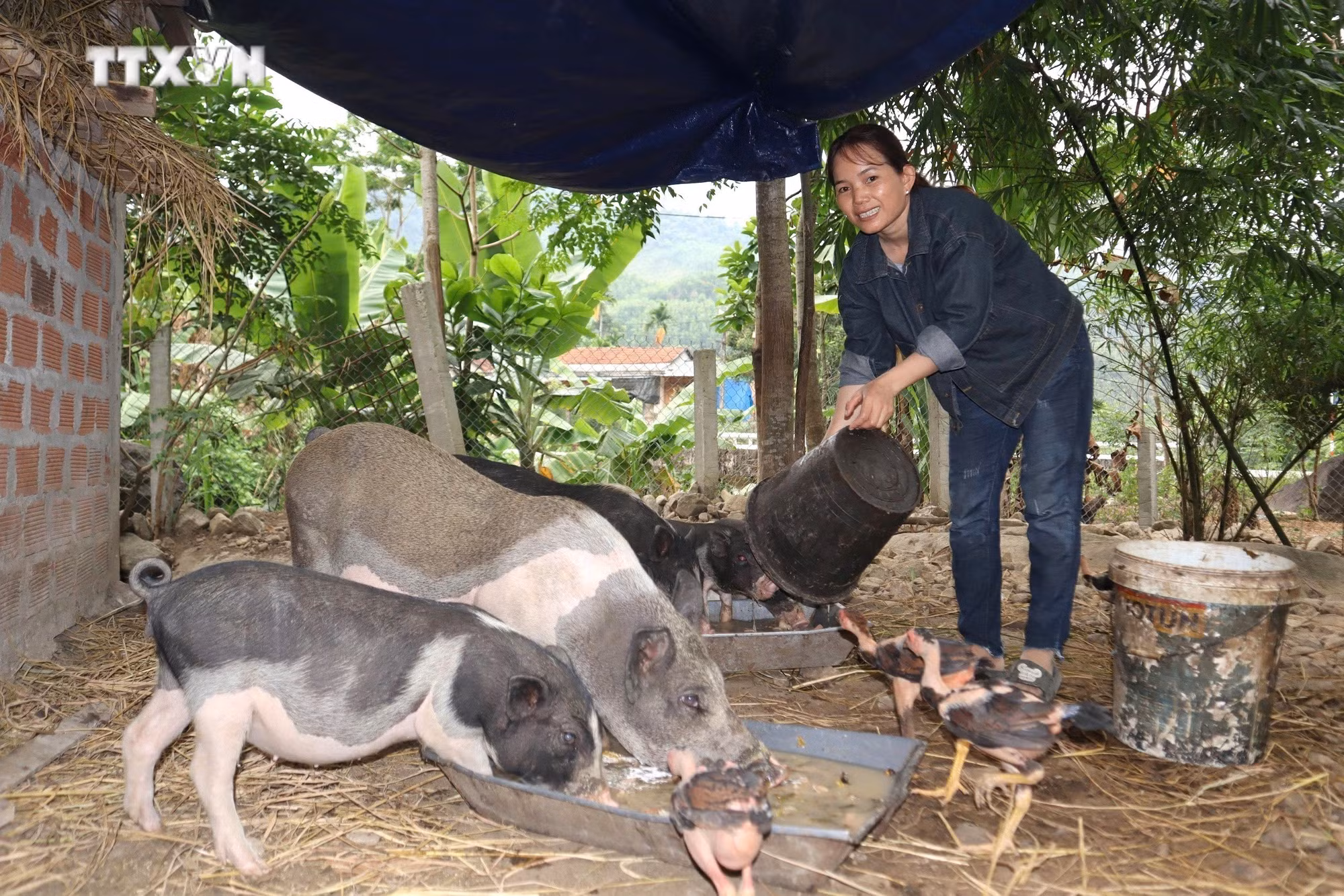 vna_potal_quang_ngai_phat_huy_suc_manh_dai_doan_ket_de_xay_dung_que_huong_7553024.jpg