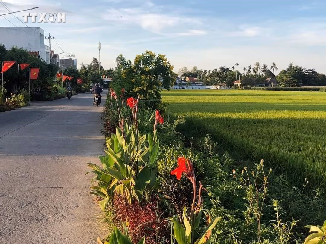 vna_potal_quang_ngai_phat_huy_suc_manh_dai_doan_ket_de_xay_dung_que_huong_7553028.jpg