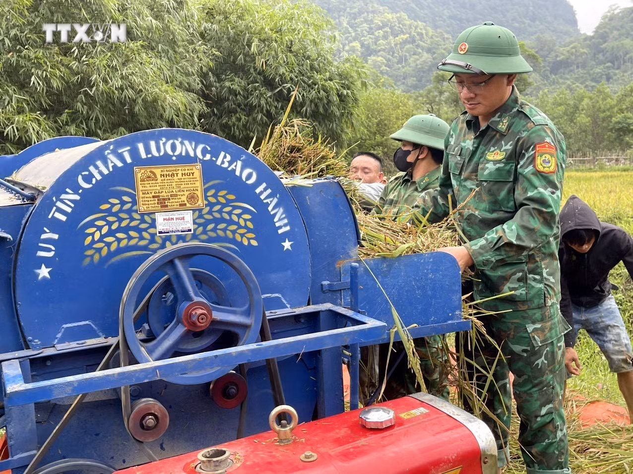 vna_potal_quang_binh_bo_doi_bien_phong_giup_dong_bao_ruc_thu_hoach_lua_7375839 (1).jpg
