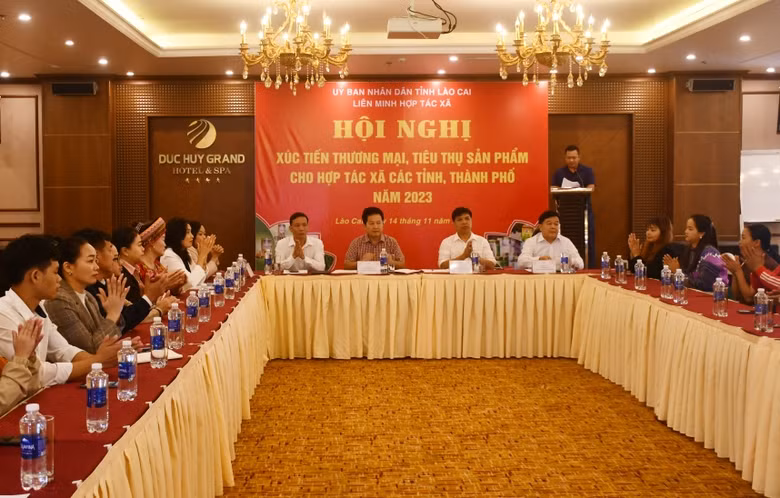 Xúc tiến thương mại, tiêu thụ sản phẩm cho các Hợp tác xã 