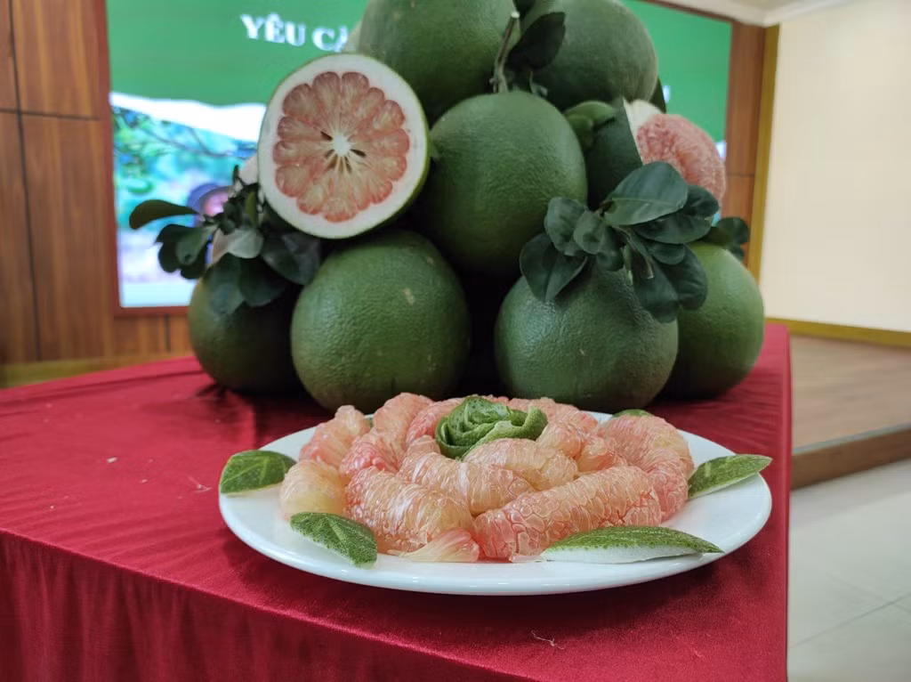 Trái bưởi tươi Việt Nam chính thức được xuất khẩu sang Hoa Kỳ