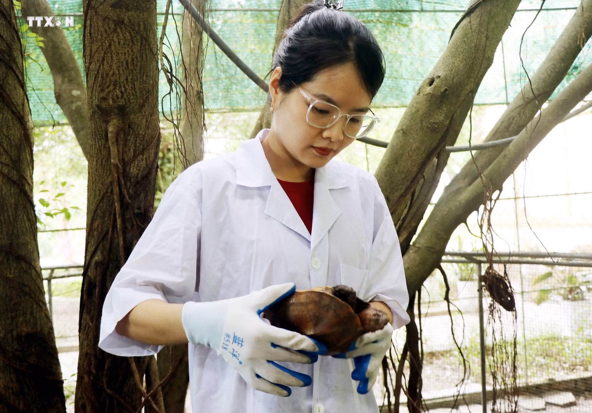 vna_potal_vuon_quoc_gia_vu_quang_trung_tam_da_dang_sinh_hoc_bac_nhat_cua_viet_nam_7418841.jpg