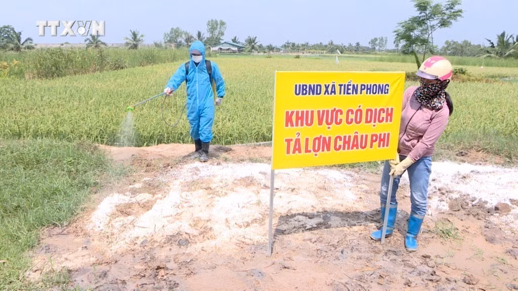 vna_potal_them_mot_dia_phuong_cua_tinh_quang_ninh_xuat_hien_dich_ta_lon_chau_phi___7406457.jpg