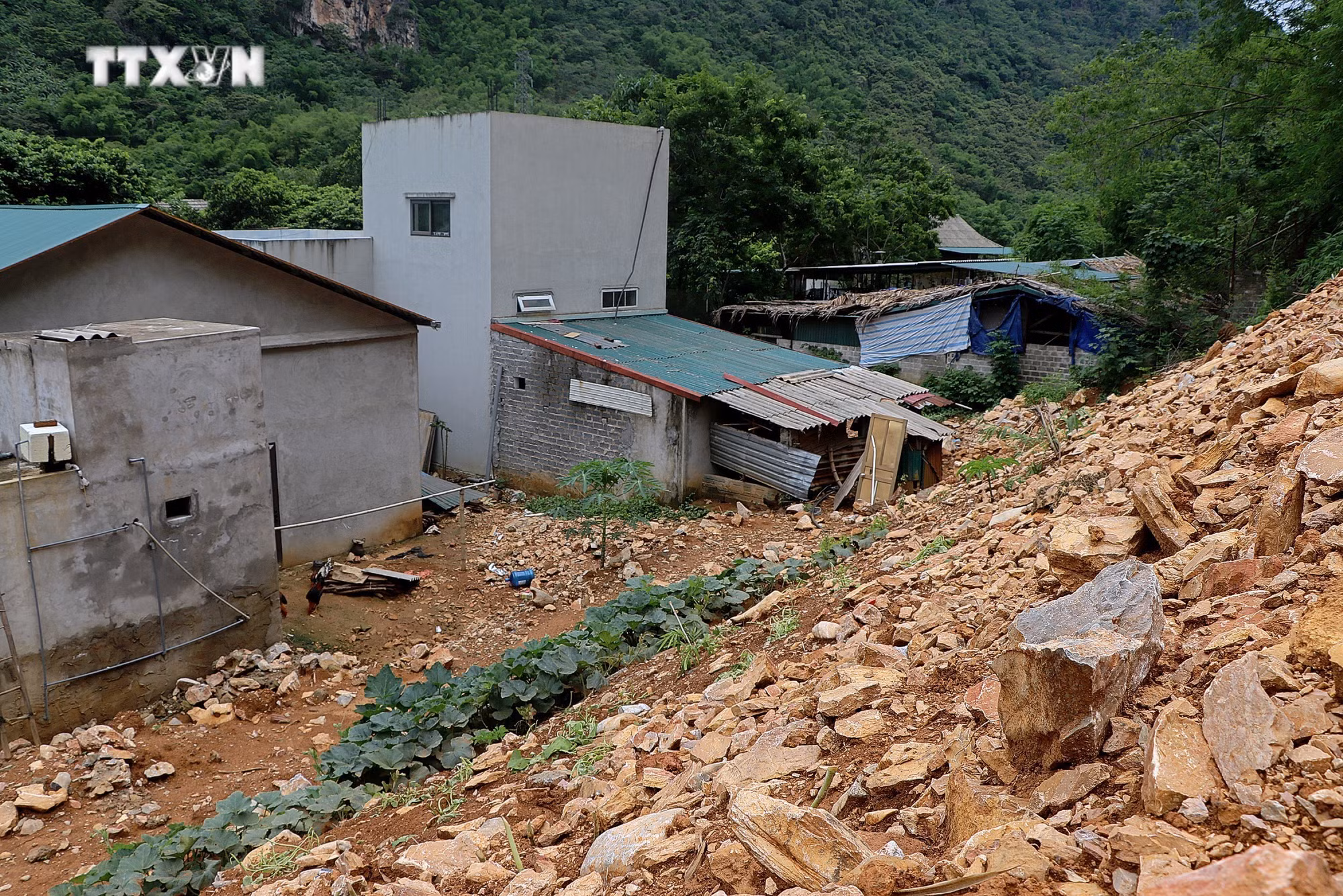 vna_potal_hoa_binh_chu_dong_phong_chong_thien_tai_trong_mua_mua_lu_7411525.jpg