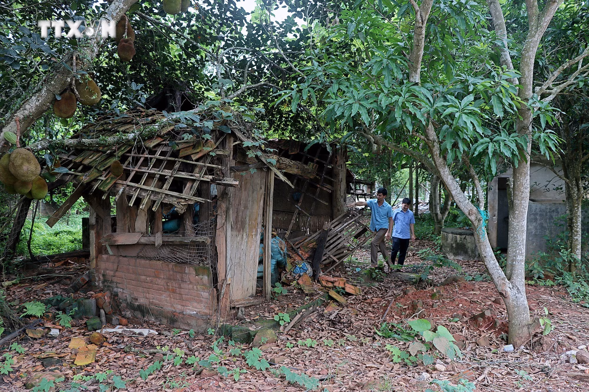 vna_potal_hoa_binh_chu_dong_phong_chong_thien_tai_trong_mua_mua_lu_7411568.jpg